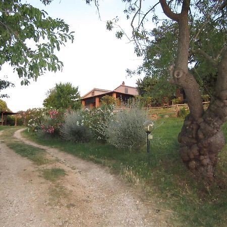 Agriturismo Casa Fibbianello Semproniano Exterior photo