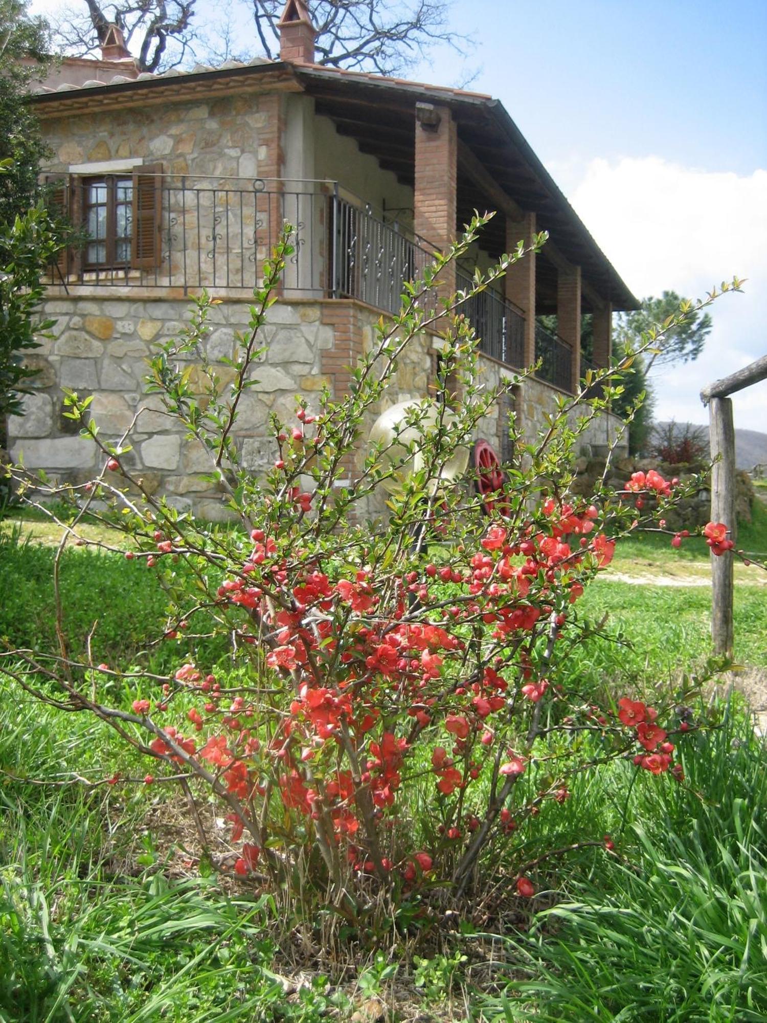 Agriturismo Casa Fibbianello Semproniano Exterior photo